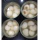 Whole White Canned Lychee In Syrup , Lychee Fruit Season Net Weight 567g