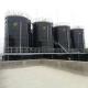 Biogas Digester System Biogas Plant Electricity Production