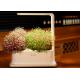 3pcs Plant PP Home Hydroponic Growing Systems With Led Light