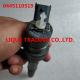 BOSCH Common Rail Injector 0445110519 , 0 445 110 519 ,  0445 110 519 , A4000700187 , 4000700187