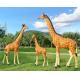 Outdoor Stainless Steel Giraffe Sculpture Garden Installation Sculpture