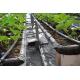 Sided Ladder PVC Soilless Hydroponic System Automatic Vertical Farming System