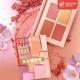 Shimmer Matte Blush Palette Face Beauty Cheek Pink All Skin Type Apply