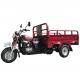 Gasoline 1 Ton 80km/H 3 Wheel Cargo Motorcycle
