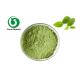 EGCG Organic Pure Matcha Powder For Ice Cream 100g