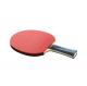 Carbon Fiber Ayous 7 Layer Table Tennis Rackets Reverse Rubber with Technology