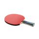 Carbon Fiber Ayous 7 Layer Table Tennis Rackets Reverse Rubber with Technology