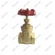 Brass Globe Valve