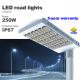 250W Street LED Light CREE SMD Bulbs High lumens highways Road Lighting  IP67 Waterproof
