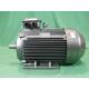YE3 315L2 6 Pole Class F Asynchronous Electric Motor 3 Phase 132kW IP55