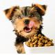 Wenger Extruder Spare Parts In Producing High-Quality Pet Food
