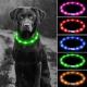 Comfortable LED Dog Collar USB Rechargeable , Pet Glow Collars Flexible 360 Degree Visibility