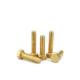Brass Hex Bolts M3 M4 M5 M6 M8 M10 with ISO9001 2015 Certificate and Customized Service