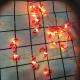Fairy String Lights Battery Powered String Lights 6.5ft 20 LED Warm White Lights for Party/Birthday/Wedding/Christmas In/Outdoor