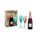 Chandon Coloured Polycarbonate Champagne Flutes 165ml 5.5oz Acrylic Wine Glass