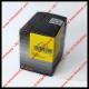 New BOSCH Fuel Injector nozzle 0433171681 , 0 433 171 681 , DLLA144P1050 ,DLLA 144 P 1050  injection nozzle