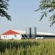 Metal Frame Steel Structure Cow Shed Prefabricated Farm Shed Building