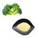 Natural Freeze Dried Broccoli Extract Powder Frozen Broccoli Sprouts Powder