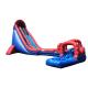 Water Slides Inflatable For Kids And Adults Customized Inflatable Toboggan Water Slide Pool