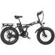 Aluminum Alloy Large Wheel Folding Electric Bike 48Volt Fashionable