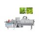 1000kg/H Green Leaf Cutter Lettuce Cutting Machine For Fruit Salad Vegetable