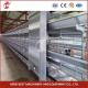 Silver Automatic Hdg Poultry Housing System For Chicken Breeding Mia