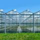 Hot Galvanzied Steel Pipe Agricultural Venlo Glasshouse Turnkey Project