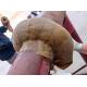 Waterproof Pipe Wrapping Tape Petrolatum Tape Insulation Wrap
