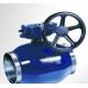 Forged Body Trunnion Full Welded Ball Valve