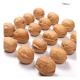Manufacturer bulk sale Xinjiang 185 walnuts in shelled and xin2/33 walnuts