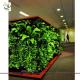 UVG GRW09 Wholesale green artificial plants for Plastic Green Wall garden landscaping