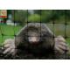 Black Polypropylene Agricultural Netting Anti Mole Mesh 16mmX16mm Hole Size