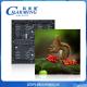 Full Sexy 800CD Led Video Wall Panels 3840p Full Hd Indoor Led Screen Smd 2020 Standard P2 P2.5 P3 P4 Advertising Led Module Indoor