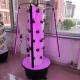Hydroponic System Aerpetta Strawberry And Leaf Vegetable Rotation With Lights