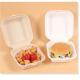 Custom 6x6 Inch Take Away Lunch Packing Fast Food Container Biodegradable Clamshell Bagasse Hamburger Sugarcane Burger