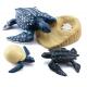 4 PCS Ocean Sea Marine Animal Model Figures Life Cycle Turtle Leatherback Figure
