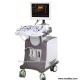 Hospital Diagnostic Machine Full Digital 4D Color Doppler Ultrasound Scanner