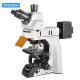 OPTO EDU A16.1093-L Trinocular LED Upright Fluorescent Light Microscope Semi Auto
