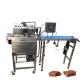 15kg 30kg 60kg Chocolate Making Machine Coating Covering Machine For Waffer Cookies