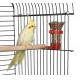 plastic bird seed food feeder with clip, for finches canary cockatiel,color vary