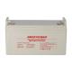 Amaxpower LD Series Rechargeable Agm Deep Cycle Battery Voltage 100 Amp Agm