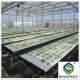 Durable Large Size Commercial Hydroponic Greenhouse With Soilless Cultivation