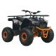 Electric Quad Atv 4x4 EV 60V1000W All Terrain Vehicle with Front and Rear Disc Brakes