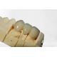 Good Stability Dental Crown Bridge Clean And Tidy High Quality Clean And Tidy