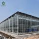 Galvanized Multi Span 120km/H Commercial Glass Greenhouse
