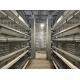 Automatic Battery Chicken Battery Cages H Type And A Type  Saving Feed