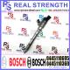 Common Rail Injection Assy 0445110695 0445110369 for diesel engine
