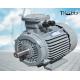 165kW Flameproof Water Pump Asynchronous Motor GB30254