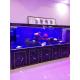 aquarium fish tank, float glass aquarium, custom made, Chinese factory price, fast lead time and with excellent quality