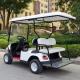 3KW Electric Car Golf Cart Battery Powered Golf Cart Passenger